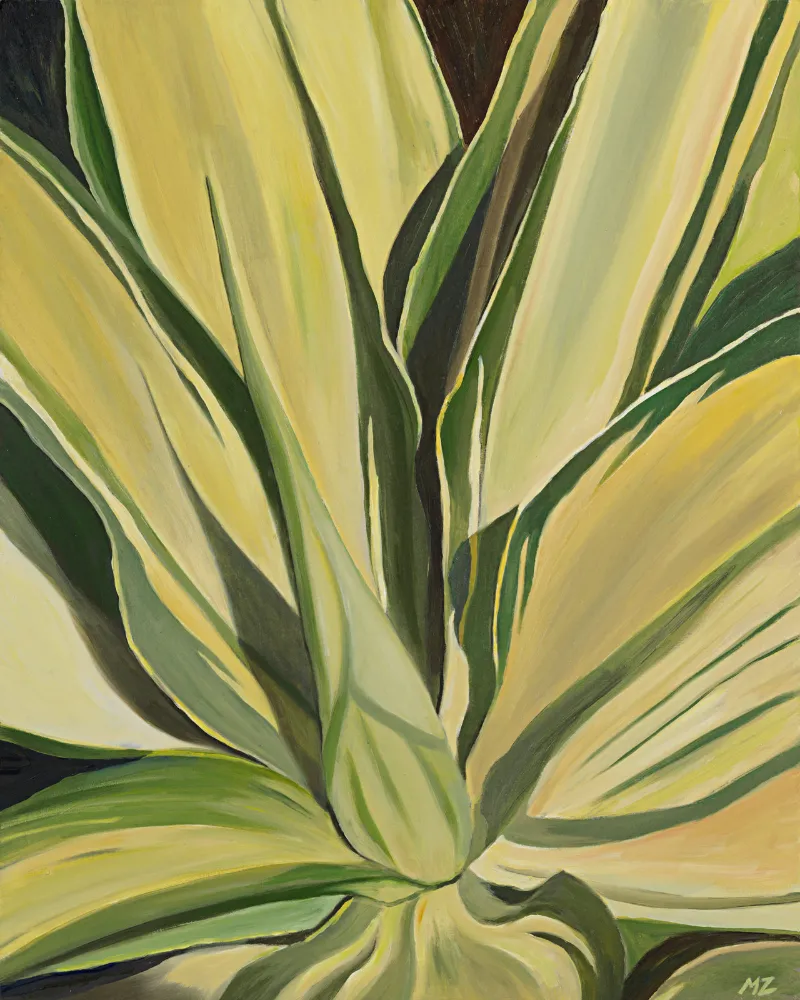 Agave Plant Giclee Print, Giclee on canvas, 18 × 24 in — work by Michele Zuzalek