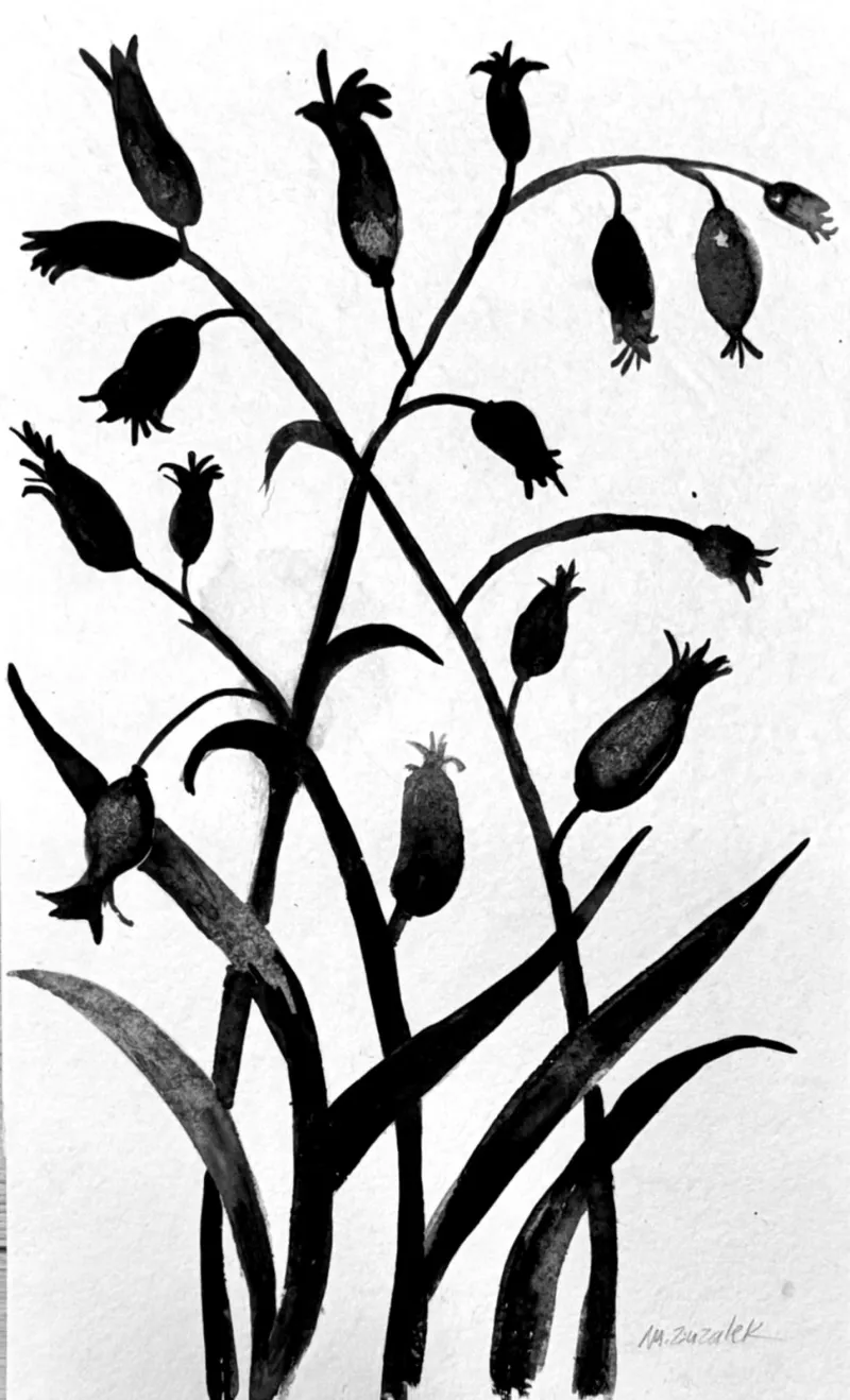 Etude Botanique #13 — work by Michele Zuzalek