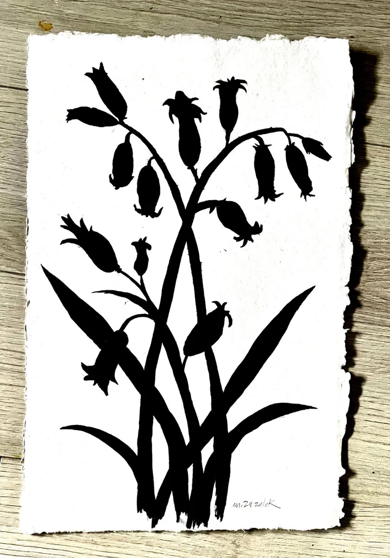 Études Botaniques 11, India ink on hand made deckled edge watercolor paper, 11 × 17 in — work by Michele Zuzalek