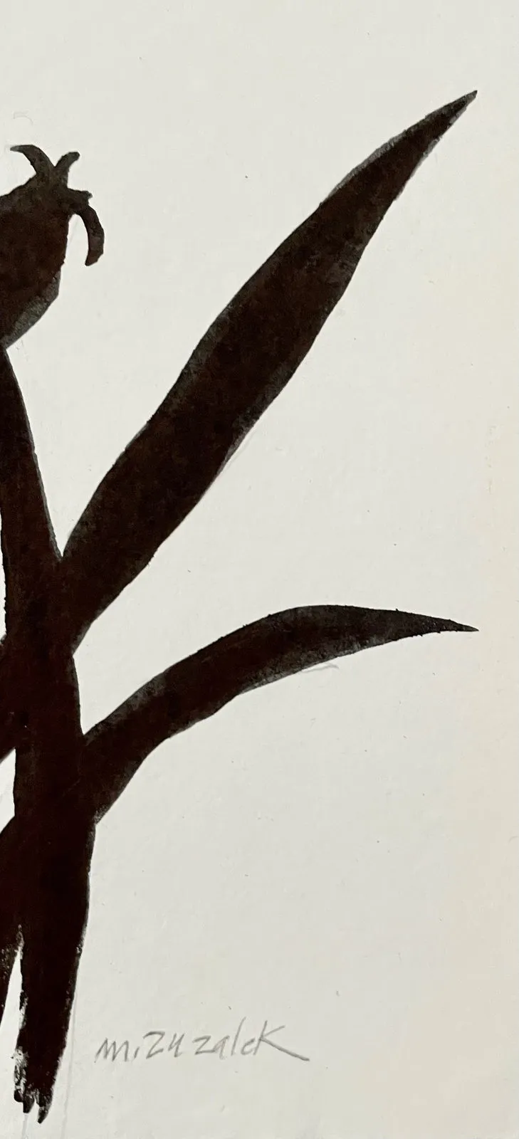 Études Botaniques 11 — additional view 3