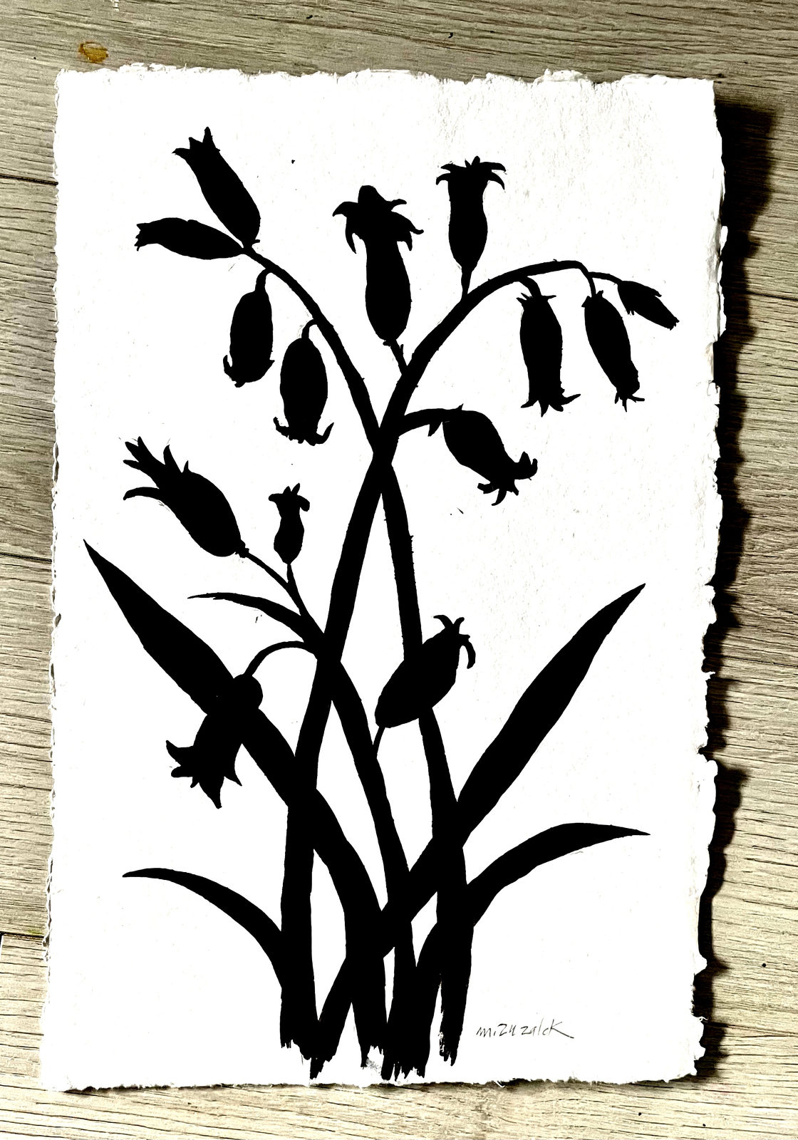 Études Botaniques 11, India ink on hand made deckled edge watercolor paper, 11 × 17 in — work by Michele Zuzalek