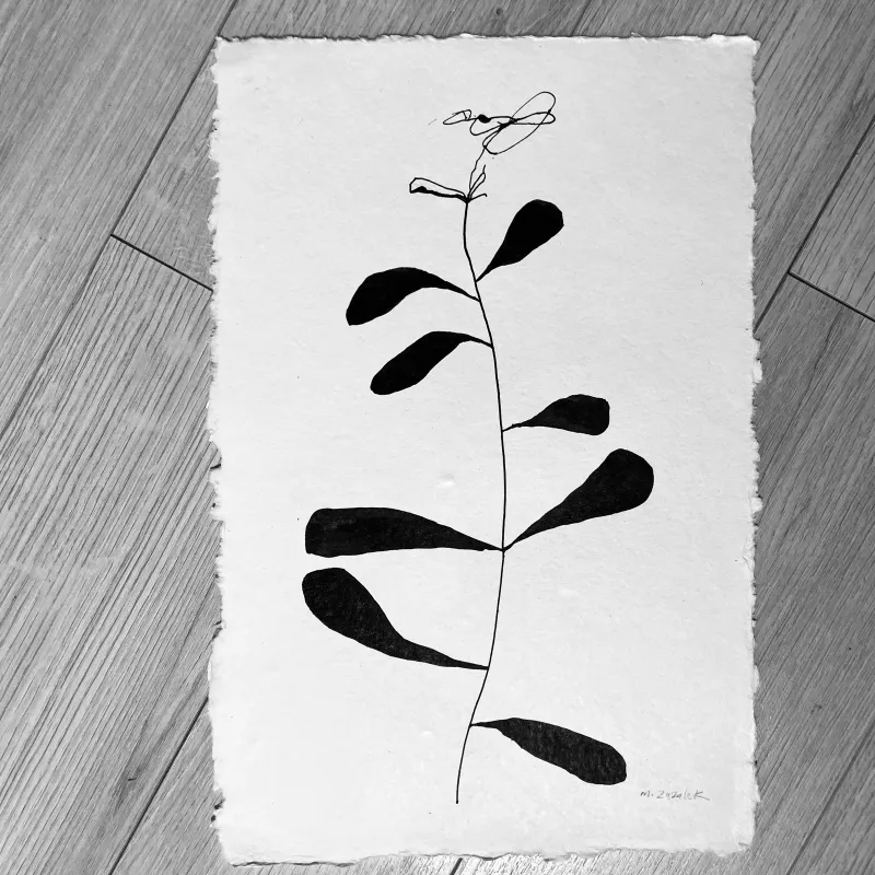 Études Botaniques 19, Ink on deckled edge watercolor paper, 11.5 × 17 in — work by Michele Zuzalek