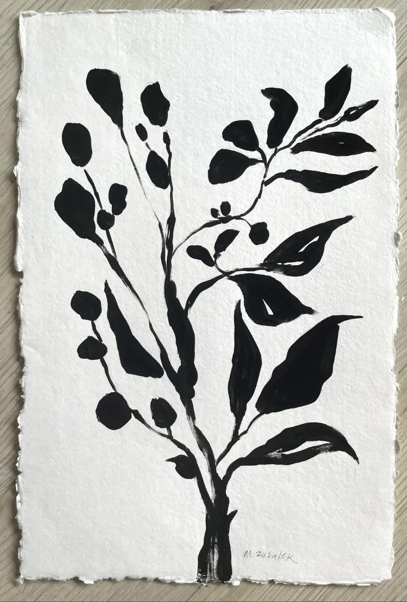 Études Botaniques 5, India ink on handmade watercolor paper, 11 × 17 in — work by Michele Zuzalek