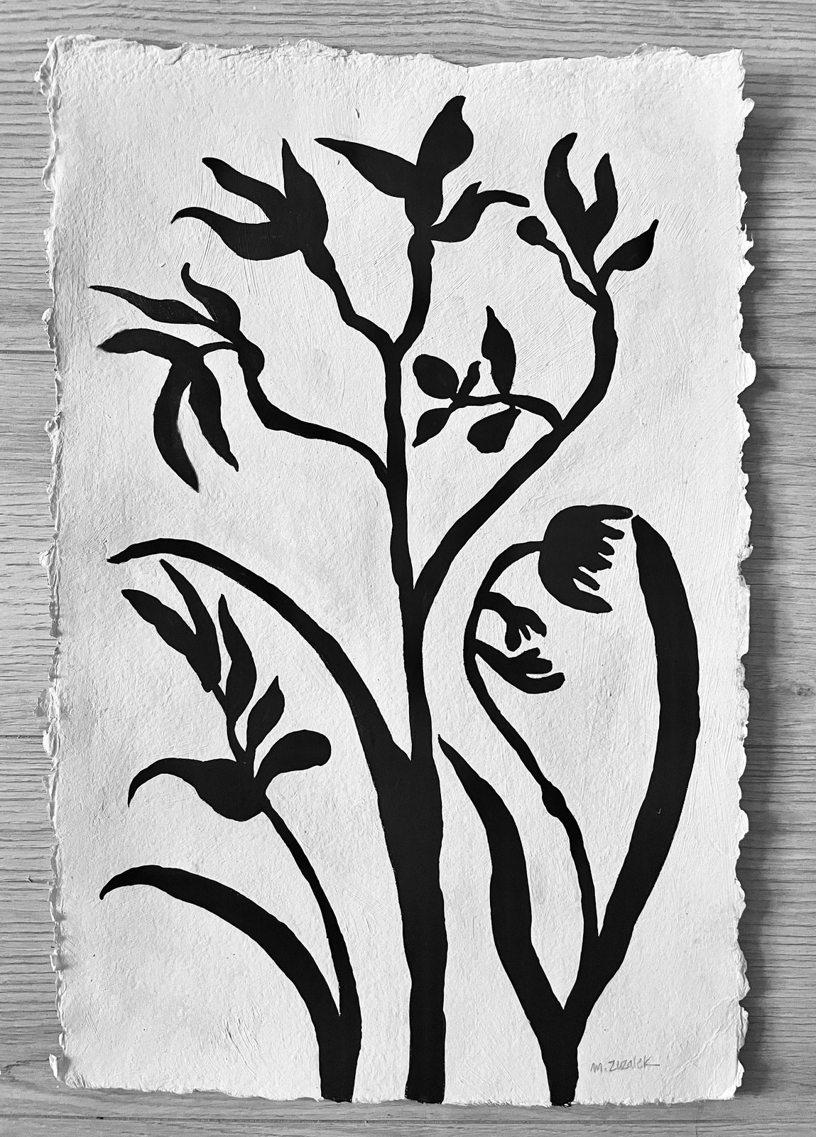 Études Botaniques 1, Mixed media on handmade French watercolor paper, 11 × 17 in — work by Michele Zuzalek