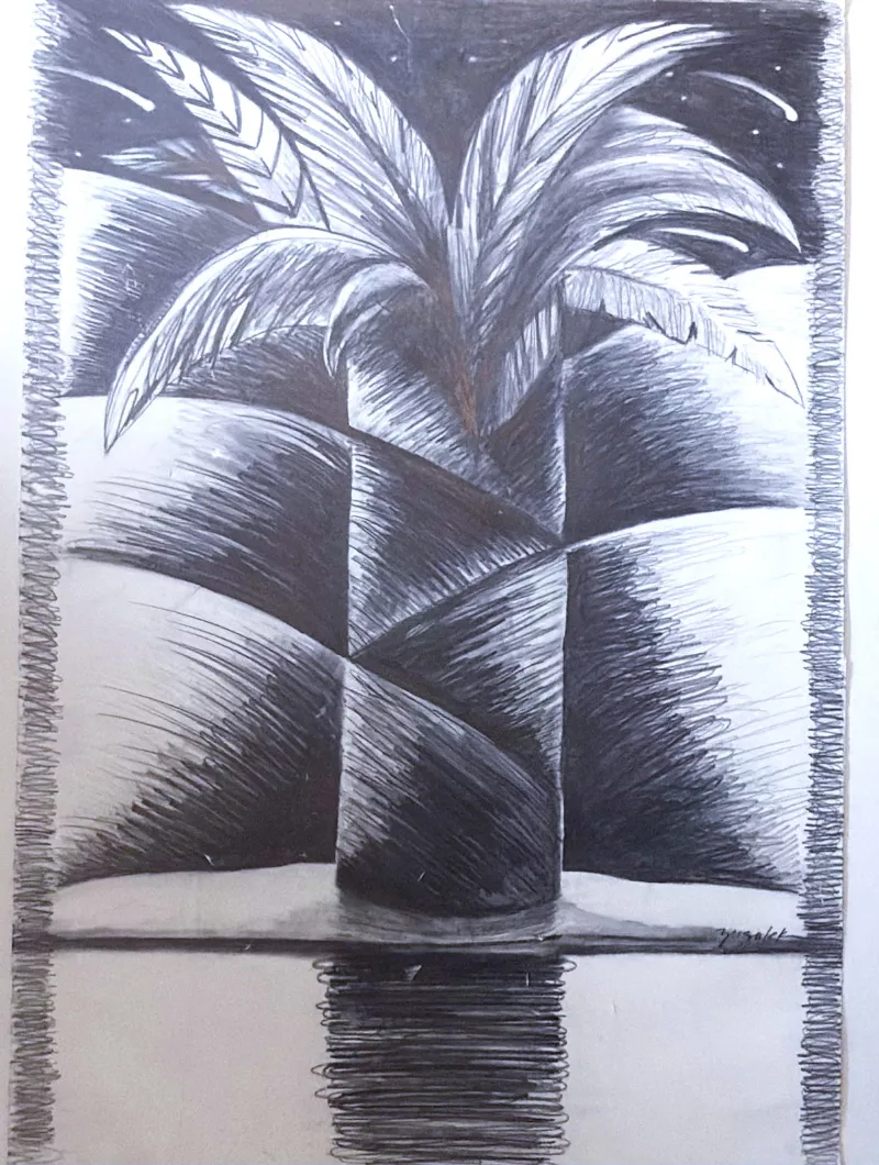 Night Palm, Graphite on paper, 15 × 22 in — work by Michele Zuzalek