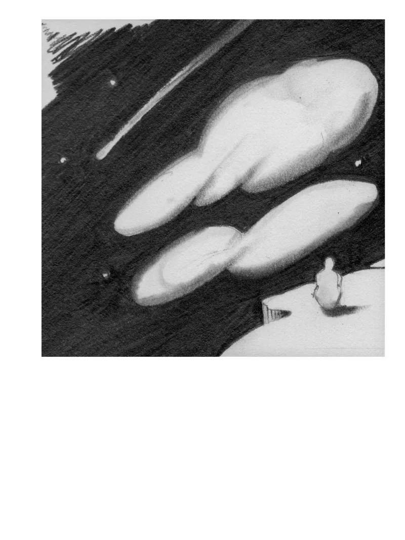 Stargazer, Graphite on paper, 3 × 3.75 in — work by Michele Zuzalek